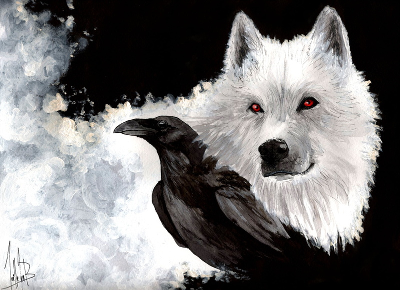 art, black Color, one Animal, beak, 1080P, animals In The Wild, wildlife, pets, winter, dog, white, nature, vertebrate, looking, close-up, white color