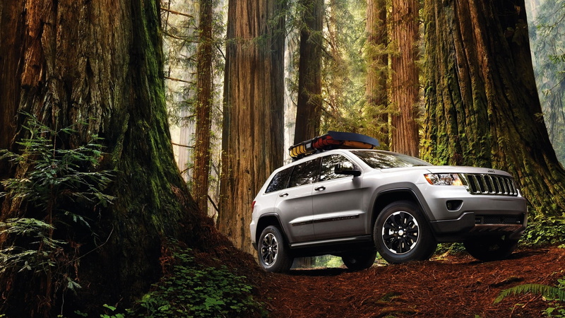 grand, gray, hd, cars, suv, trees, jeep, redwood, forest, 1080P, cherokee