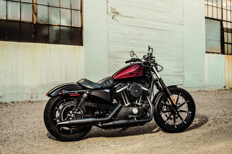 Harley-Davidson Sportster, Harley-Davidson, 1080P, Harley-Davidson Iron 883