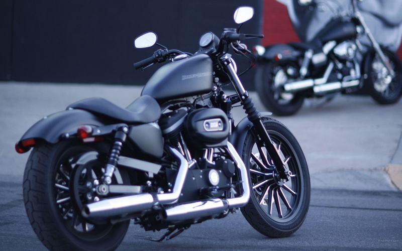 1080P, Harley-Davidson, art, harley, hd, Motorbikes, davidson, motorcycles, harleydavidson, x