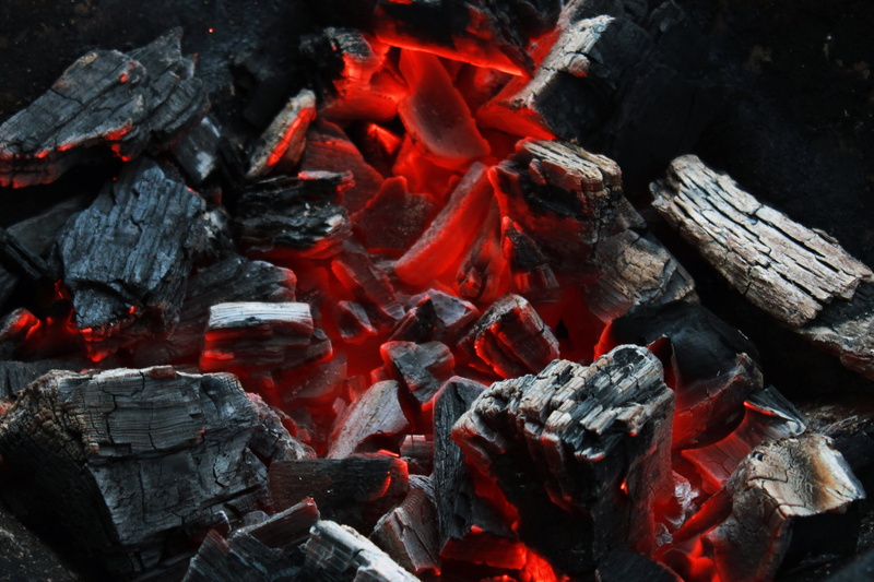 log, smoke - Physical Structure, campfire, smoldering, flame, black Color, close-up, heat - Temperature, wood - Material, coal, wood, firewood, red, burning