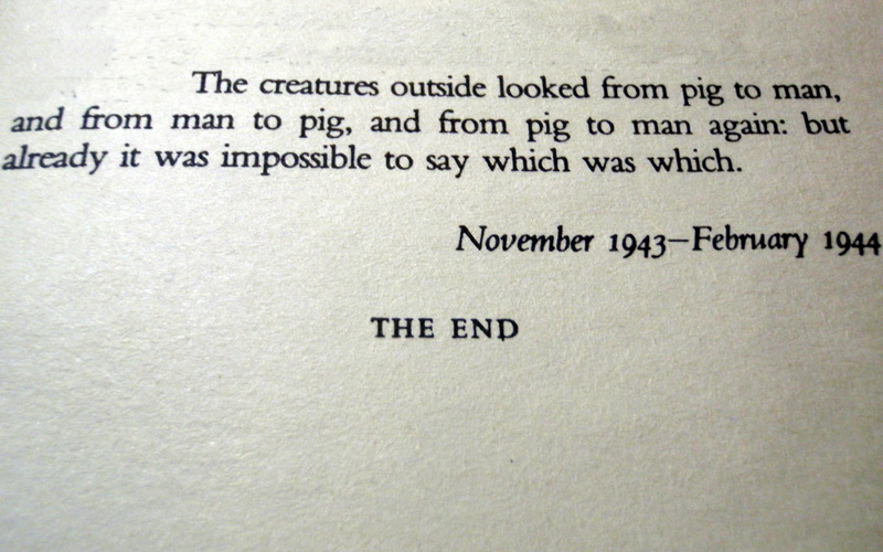 printing out, text, message, George Orwell, textured, books, connection, quote, western script, 1080P, communication, close-up, computer network, Animal Farm