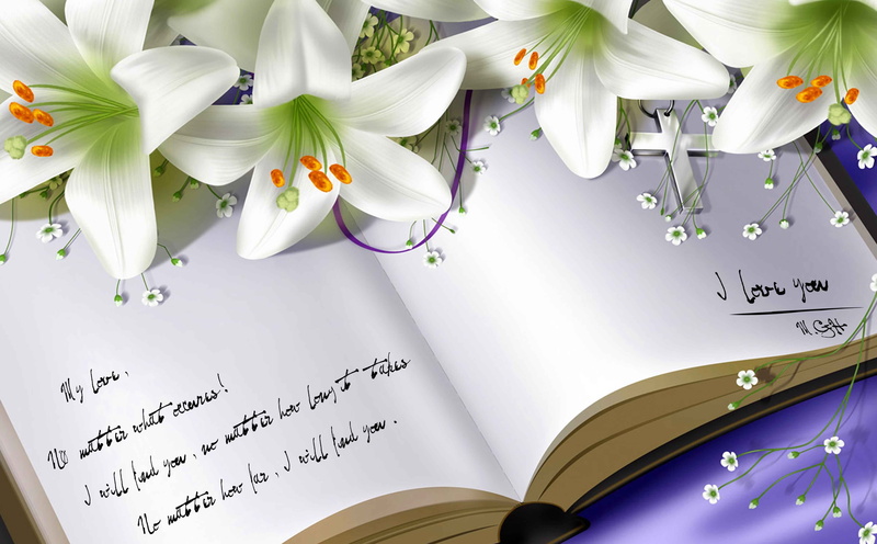 Love, no people, 5K, Quote, flowering plant, flower, indoors, event, flower head, beauty in nature, freshness, message, book, i love you, opened, flower arrangement