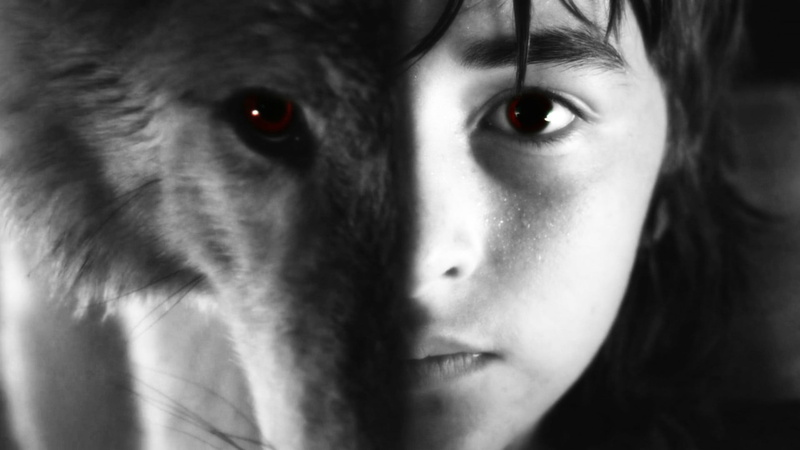 selective coloring, Brandon Stark, domestic animals, domestic, indoors, human body part, 1080P, pets, one animal, close-up, portrait, direwolves, Isaac Hempstead Wright