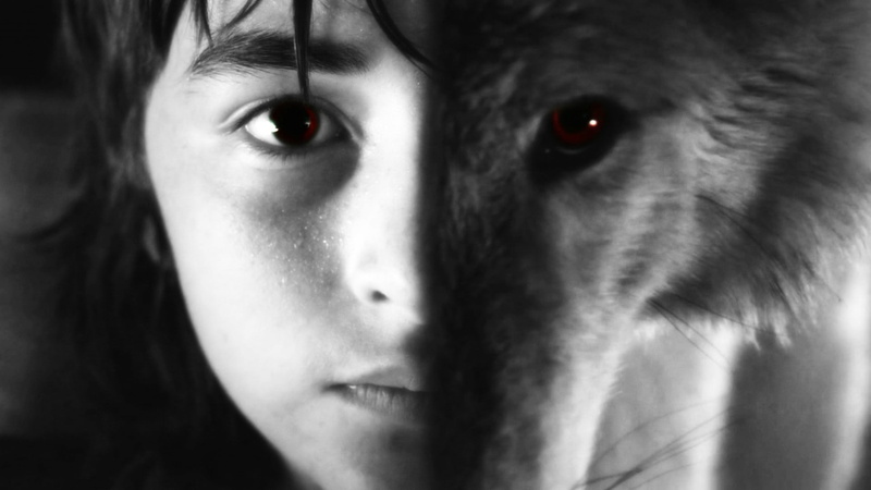 Selective Coloring, 1080P, Game Of Thrones, Direwolves, Brandon Stark