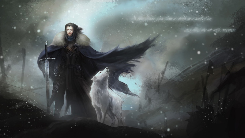 hairstyle, portrait, rain, 1080P, outdoors, nature, fantasy, beautiful woman, young adult, game of thrones direwolves sword quote artwork snow, witch
