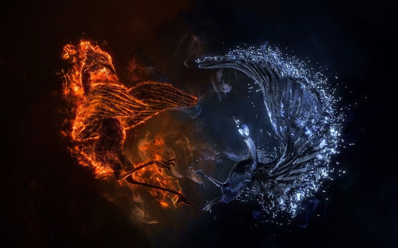 fire and water, 1080P, fantasy background, bird, fire, water