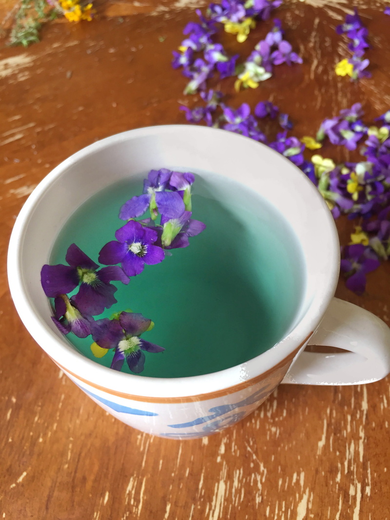 flowers, tea cup, united states, herbal, violets, flower, still life, healthy, high angle view, freshness, 2K, food and drink, cup, plant, flower head