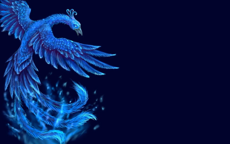 indoors, nature, marine, Artistic, Bird, Blue, pattern, sea life, Phoenix, close-up, animal themes, copy space, animals in the wild, one animal, sea, no people