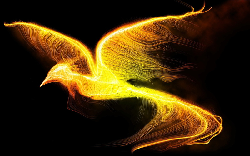Bird, Phoenix, Fire, Fantasy Animals, Fantasy, 1080P