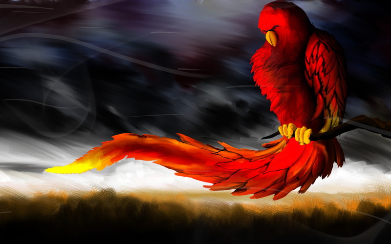 phoenix, 2K, artwork, fantasy art, birds