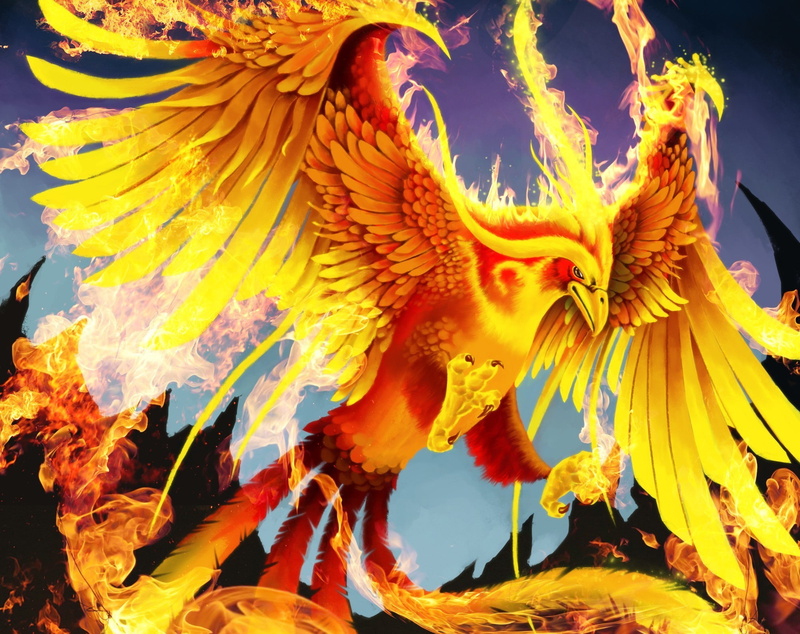 birds, animals, Magical, fire, fantasy, 1080P, phoenix