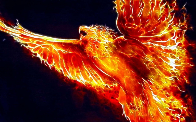 birds, digital art, Fractalius, 720P, phoenix