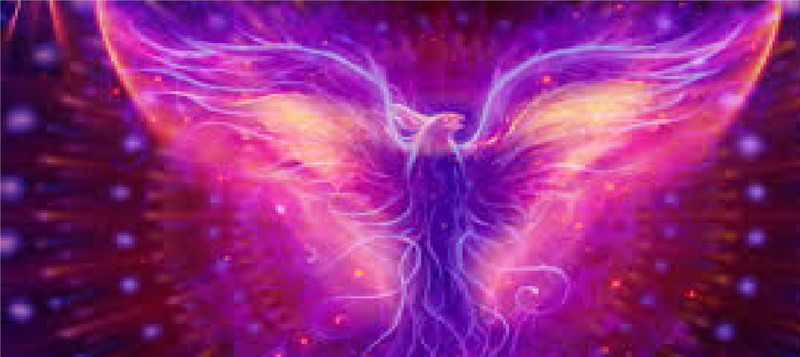 phoenix, purple bird, 2K