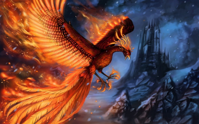 Fantasy, Phoenix, Feather, Fire, Fantasy Animals, Bird, 1080P