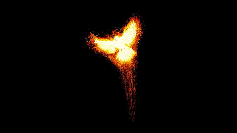 phoenix, digital, 2K, birds, art