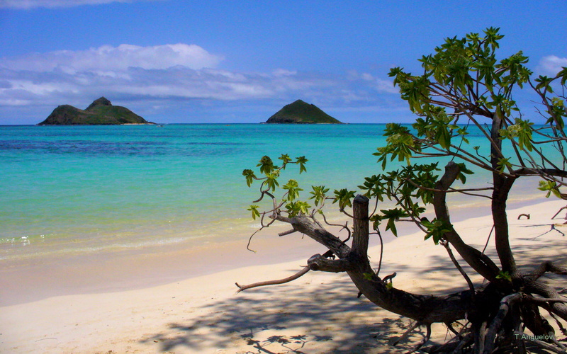 horizon over water, 2K, outdoors, turquoise colored, beauty in nature, plant, kailua, tranquility, sky, tropical climate, hawaiis, horizon, cloud - sky
