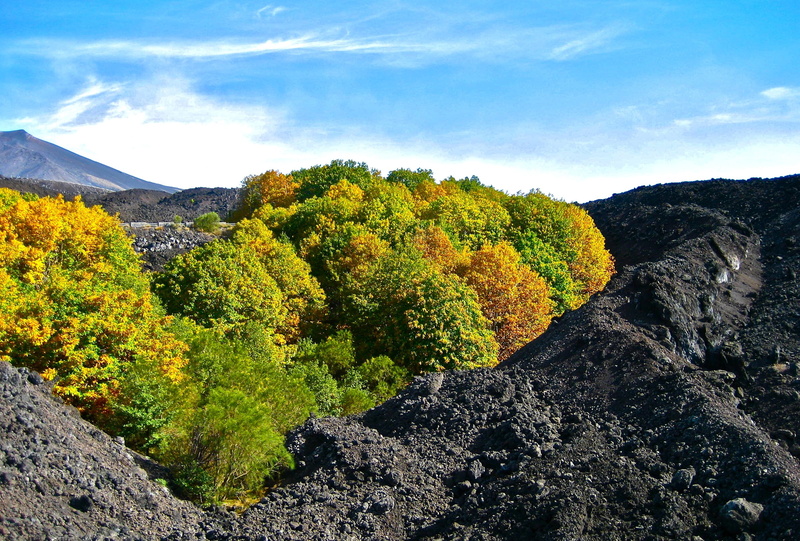 idyllic, no people, sky, mountain, scenics, non-urban scene, nature, lava, beauty in nature, environment, plant, magma, tranquil scene, landscape, green color