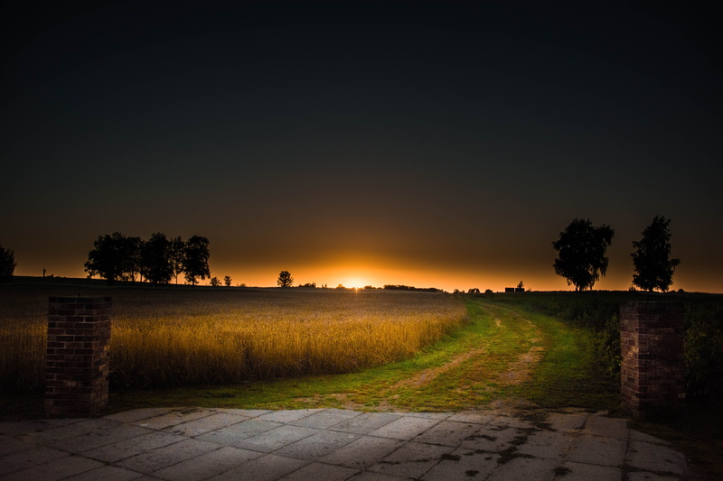 field, footpath, no people, direction, tranquility, 5K, sky, scenics - nature, environment, lithuania, evening, road, autumn, outdoors, sun, country, night