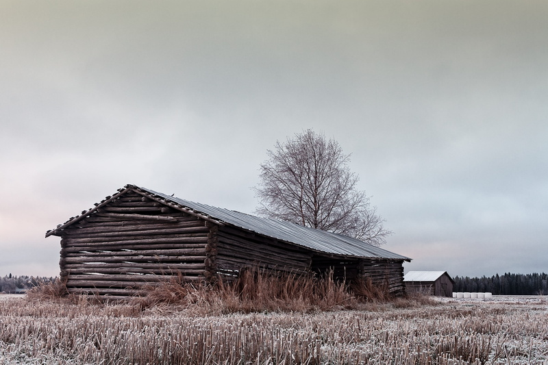 rural, sky, day, outdoors, built structure, bare tree, landscape, hut, barn, tree, tower, plant, rural scene, land, building, 4K, cottage, bell tower