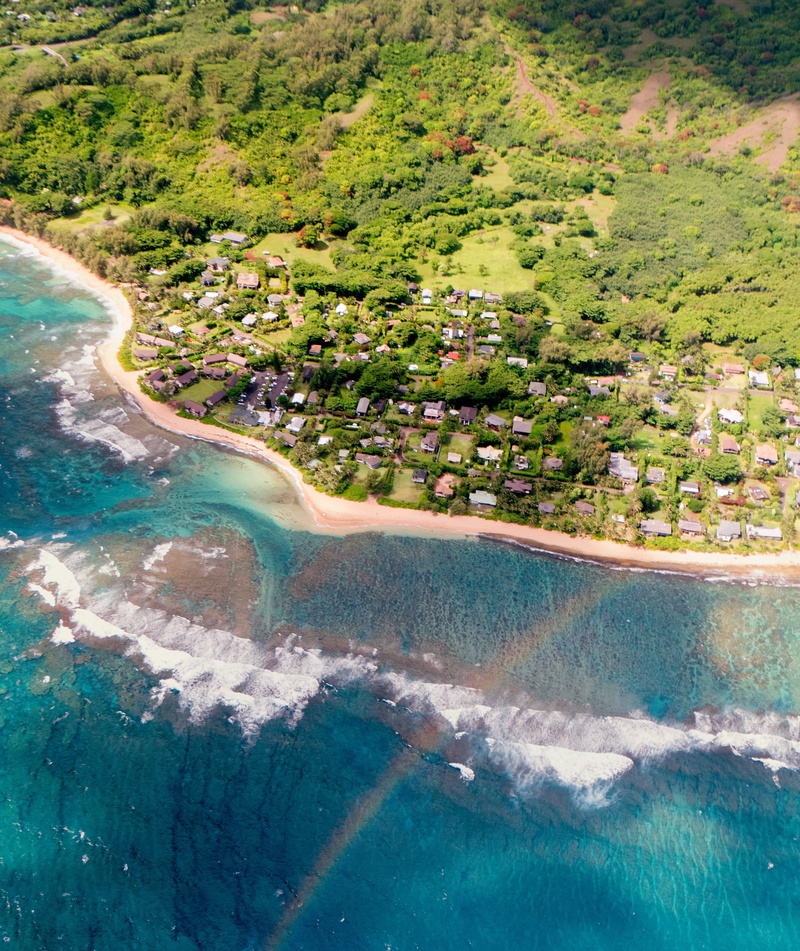 scenics - nature, built structure, day, plant, high angle view, kapaa, tree, tranquil scene, growth, beauty in nature, kauai, swimming pool, outdoors, homes