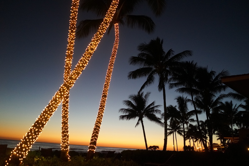 beach, no people, silhouette, scenics - nature, hawaii, plant, tranquil scene, tree, poipu beach, kauai, coconut palm tree, sea, 5K, tropical tree, water