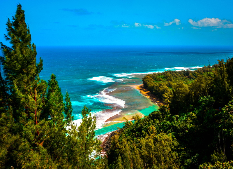 reef, nature, tranquility, ocean, hawaii, tranquil scene, sea, kee beach, earthfocus, day, turquoise colored, tree, plant, 4K, horizon over water, land