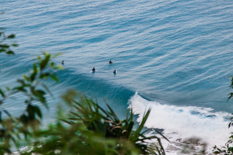 island, water, ocean, high angle view, plant, outdoors, real people, land, surfing, paradise, scenics - nature, day, motion, beach, surf, surfers, lifestyles