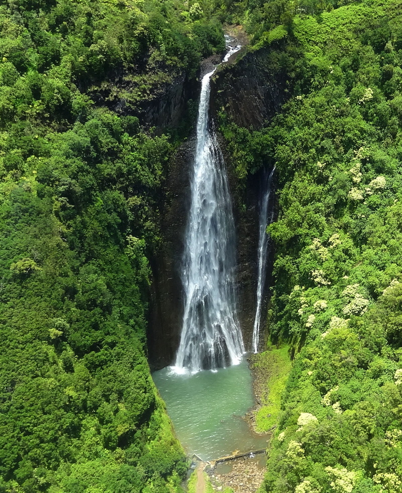 rainforest, outdoors, flowing, jungle, growth, green color, water, natural, waterfall, wild, day, scenics - nature, tourism, scenery, land, jurassic waterfall