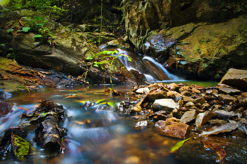 waterfall, pinas, tree, outdoors, running water, purity, naturaleza, rock, ecuador, tranquility, shallow, day, frescor, beauty in nature, scenics - nature