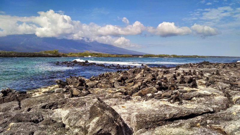 day, tranquility, galapagos islands, rock, rock - object, scenics - nature, sea, cloud - sky, ecuador, nature, tranquil scene, idyllic, no people, solid