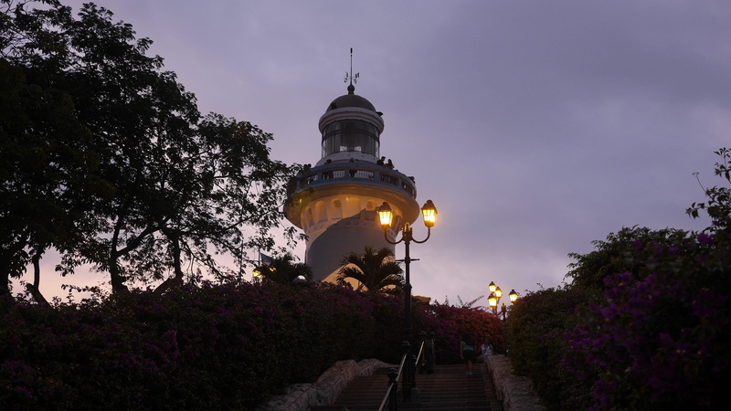 dusk, place of worship, ecuador, night, 4K, illuminated, architecture, lighting equipment, belief, nature, low angle view, guayaquil, city, outdoors, tree
