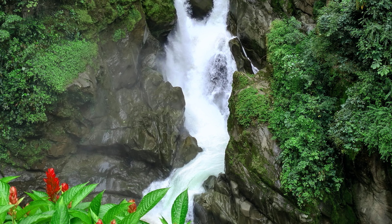 outdoors, forest, plant, scenics - nature, land, flowing, falling water, tree, rock - object, day, rock, power in nature, nature, long exposure, ecuador