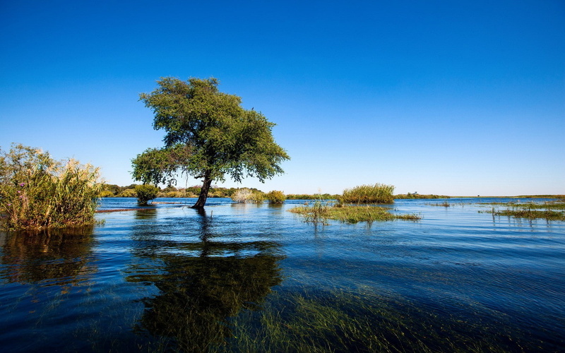 landscape, Africa, trees, 720P, water, clear sky, nature, flood