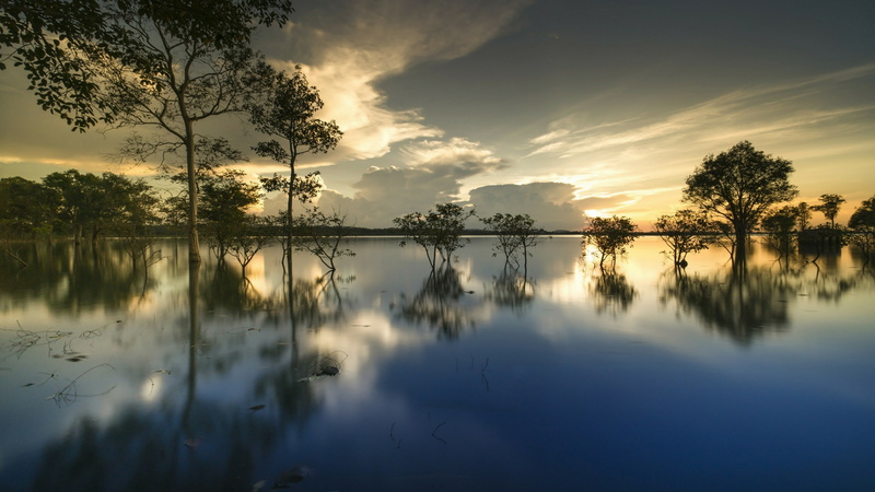 lake, sky, tree, morning, 4K, flood, cloud, water, reflection, dawn, nature, flooding, reflected, sunrise