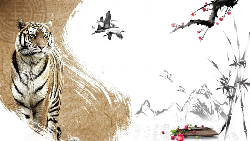 tiger, firefox persona, bamboo, 1080P, wild, oriental, cherry blossoms, ducks, sakura, anima, mountains