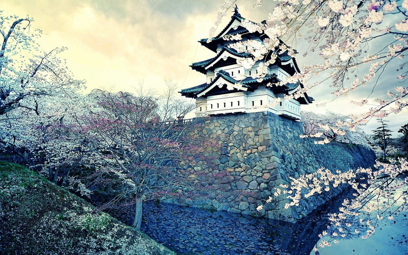 Oriental, Blossom, Castle, House, Asian, Cherry, Japan, City, Spring, Castles, 1080P