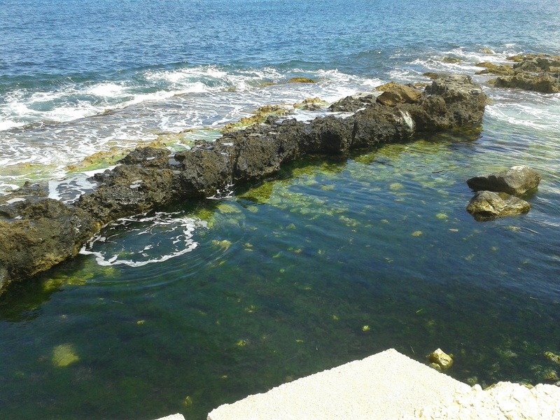 nature, rock - object, tranquil scene, Trapani, no people, animal, day, sea, beauty in nature, scenics - nature, sunlight, Italy, tranquility, solid, outdoors