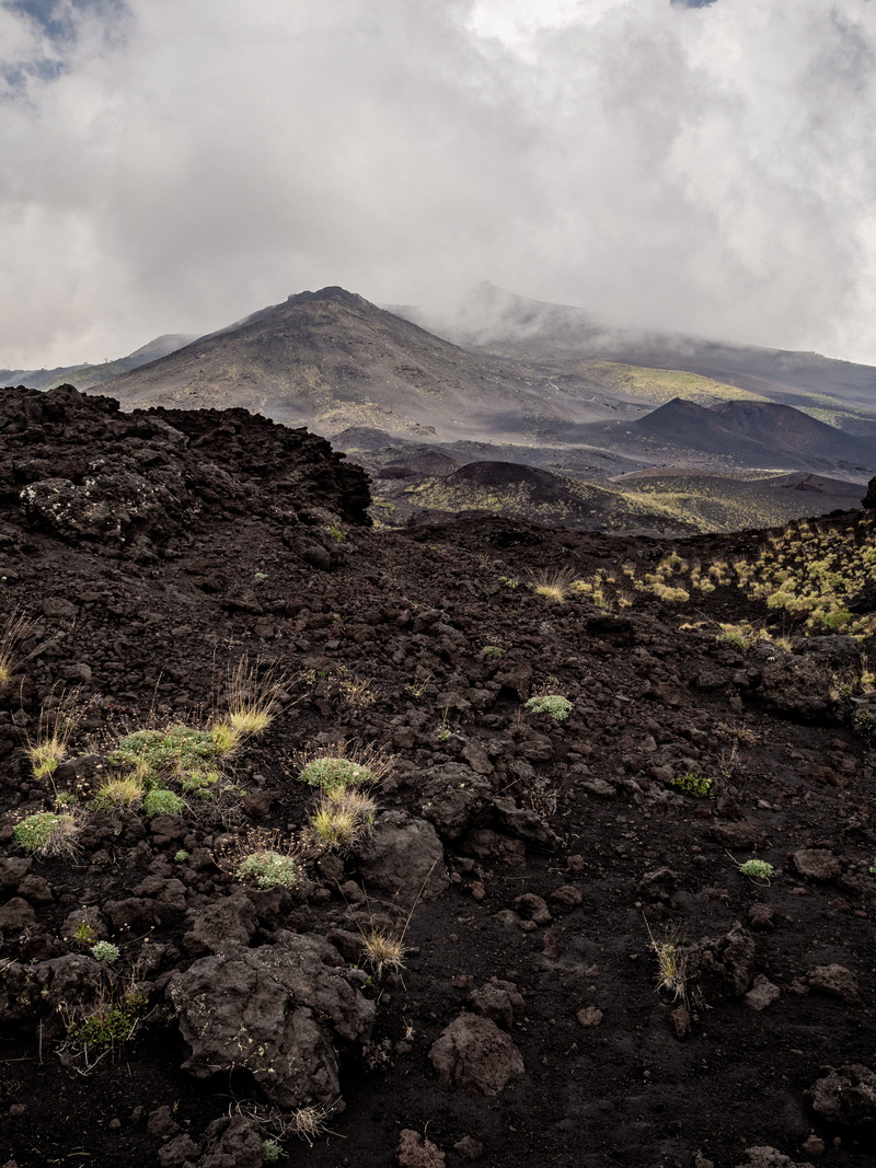 nature, flower, wilderness, dark, vulcano, grey, scenics - nature, gray, cloud - sky, land, mountain range, deserted, fog, tranquil scene, mountain, 4K