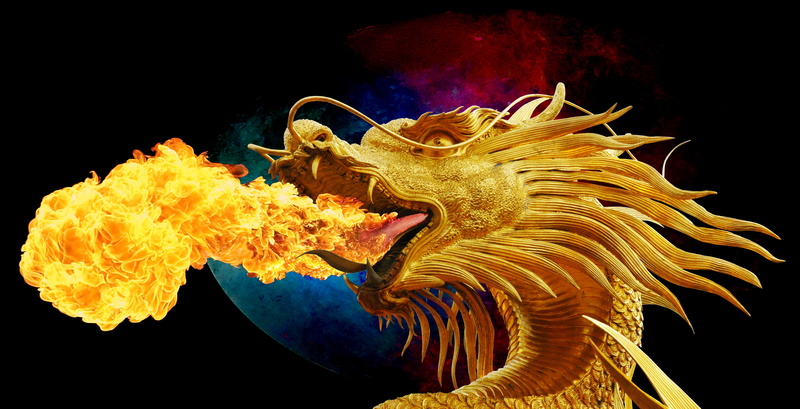 fire breathing, thailand, red, no people, undersea, fire - Natural Phenomenon, animal, animals in the wild, golden dragon, marine, water, indoors, fire