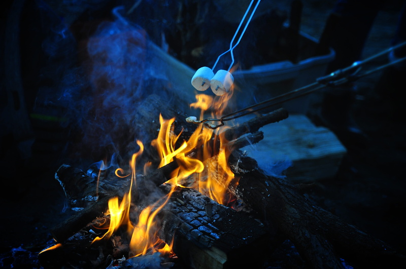 ash, blaze, cook, red, energy, design, camping, barbecue, night, fire - natural phenomenon, burnt, log, heat, wood - material, glowing, motion, lighted