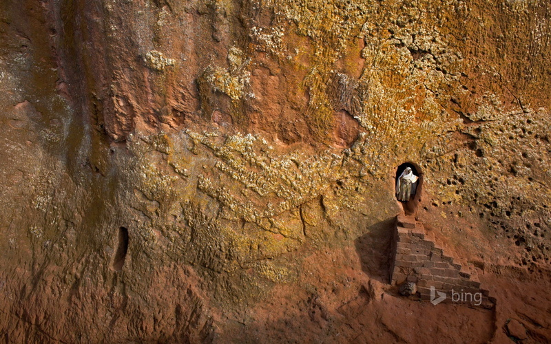 low angle view, rock, old, architecture, animal wildlife, rock formation, animal themes, history, outdoors, the past, animals in the wild, animal, eroded