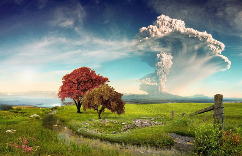 non-urban scene, scenics - nature, creeks, tranquility, idyllic, growth, tranquil scene, Chile, Wildflowers, sky, Calbuco Volcano, beauty in nature, tree