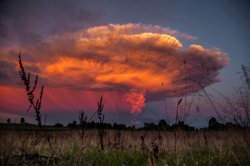 scenics - nature, cloud - sky, silhouette, 4K, field, smoke - physical structure, tranquil scene, sunset, tree, sky, no people, air pollution, pollution