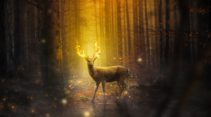 Deer, surreal, animal themes, sunset, Trees, Woods, 4K, animal wildlife, vertebrate, art, Design, tree, digital, beauty in nature, mammal, no people