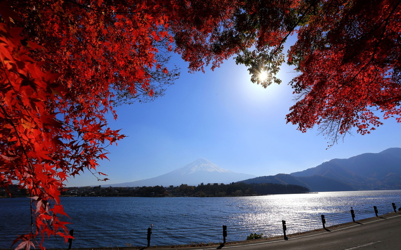 Fuji, Red, 2K, Twigs, Road, mount, Leaves, River, Japan, Sun