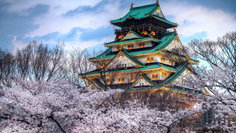 1080P, cherry blossom, Osaka Castle, Japan