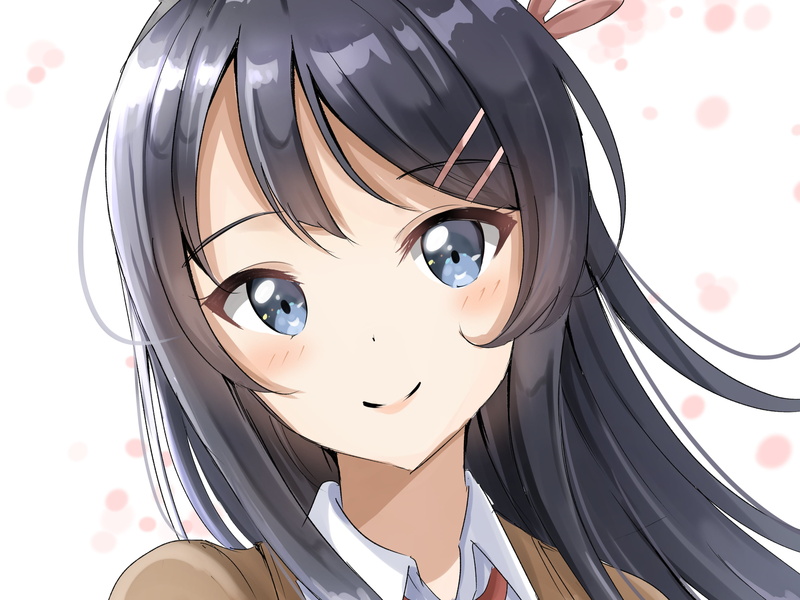 Mai Sakurajima, Anime, 2K, Seishun Buta Yarou wa Bunny Girl Senpai no Yume wo Minai