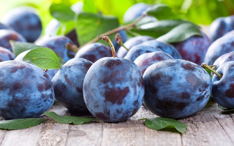 food, Plums (Fruits), fruit, 2K