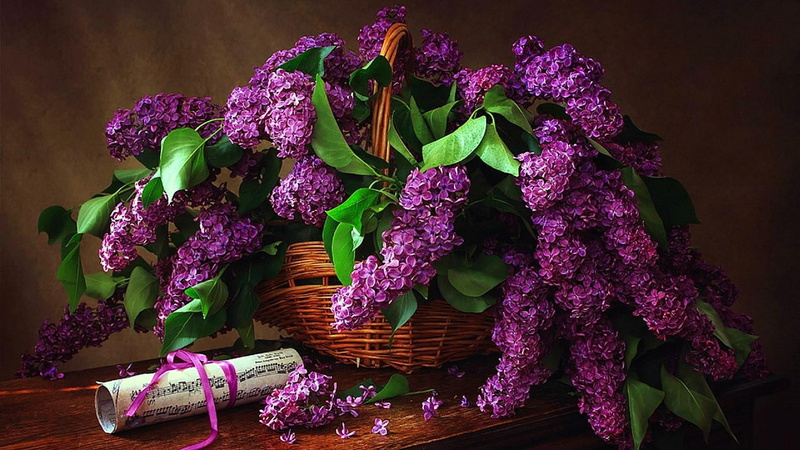 basket, spring, lilac, floral design, cut flowers, flower bouquet, purple flower, 1080P, floristry, lilac flower